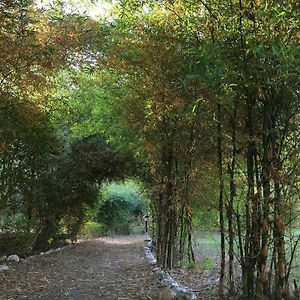 Parwati Wild Abode Corbett Resort